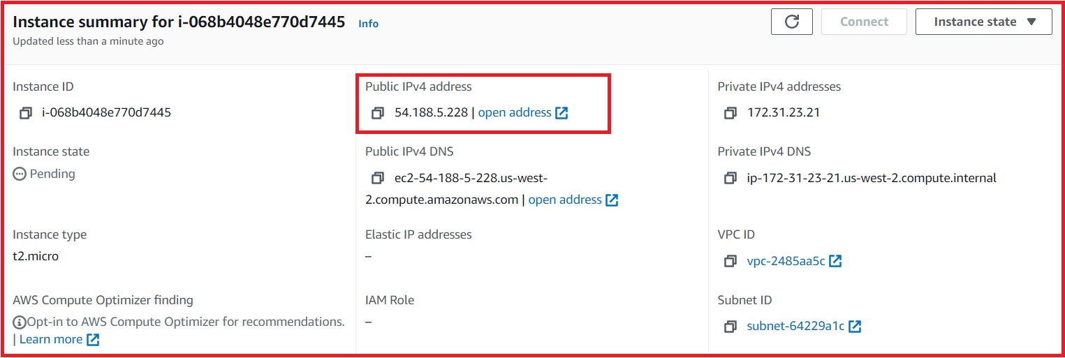 Public IP address associated with the Instance