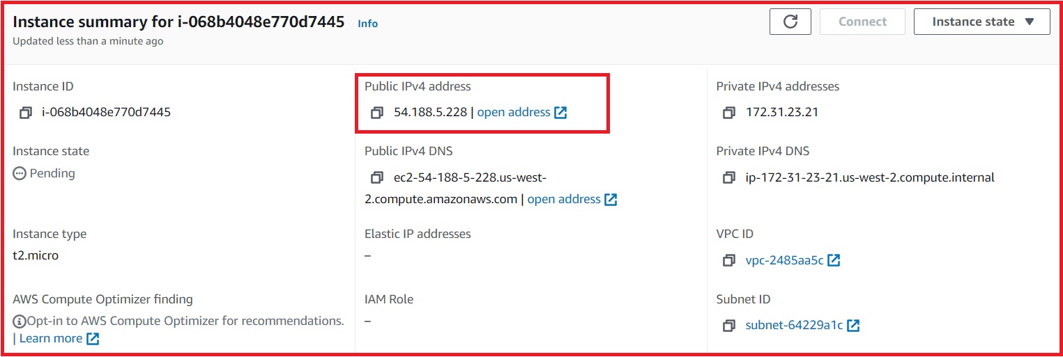 Public IP address associated with the Instance
